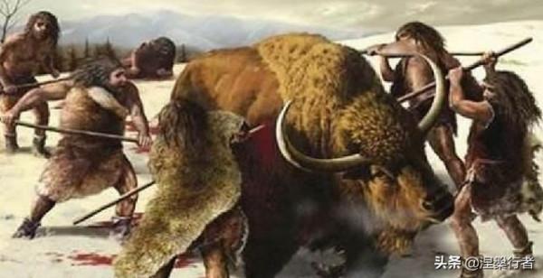 人類褪毛簡史 人類褪毛簡史