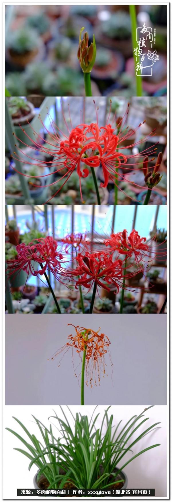 時光匆匆，一閃而逝，這世間萬物的美，都值得被記錄