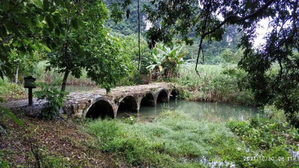 觀鳥兩年——每日期待著與鳥兒的邂逅，踏上了追逐鳥兒的征程