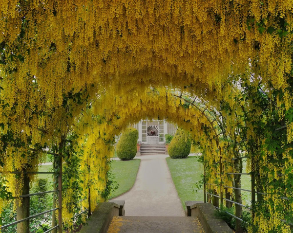 厭倦了城市風景?這些迷人的英式鄉間花園瞭解一下 厭倦了城市風景?這些迷人的英式鄉間花園瞭解一下