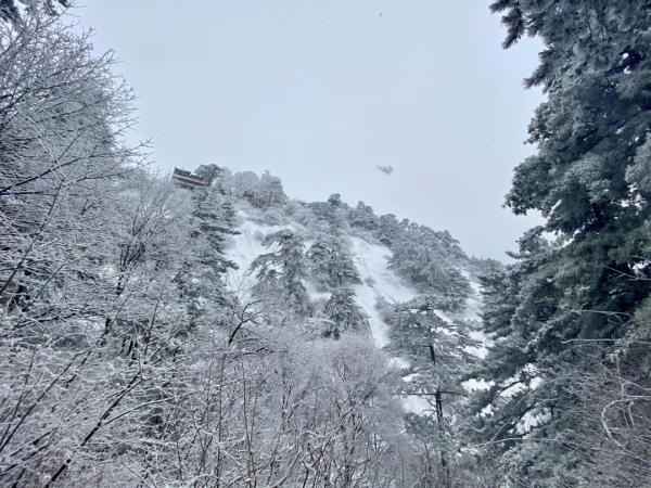 國內冬日景色最美的18個地方，個個都綻放光芒，現在出發還不晚