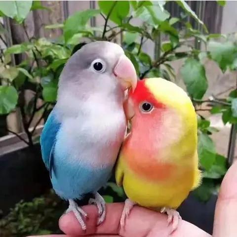 點亮愛的翅膀，帶著你一路飛翔，旅途有你，便是天堂