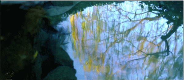 薄薄酒,難醉人,此泉能使魯酒醇。何以解憂,唯有杜康 薄薄酒,難醉人,此泉能使魯酒醇。何以解憂,唯有杜康