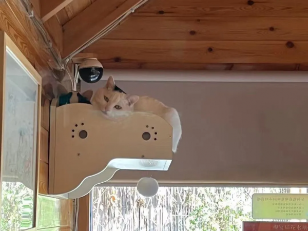 你能全答對，算我輸