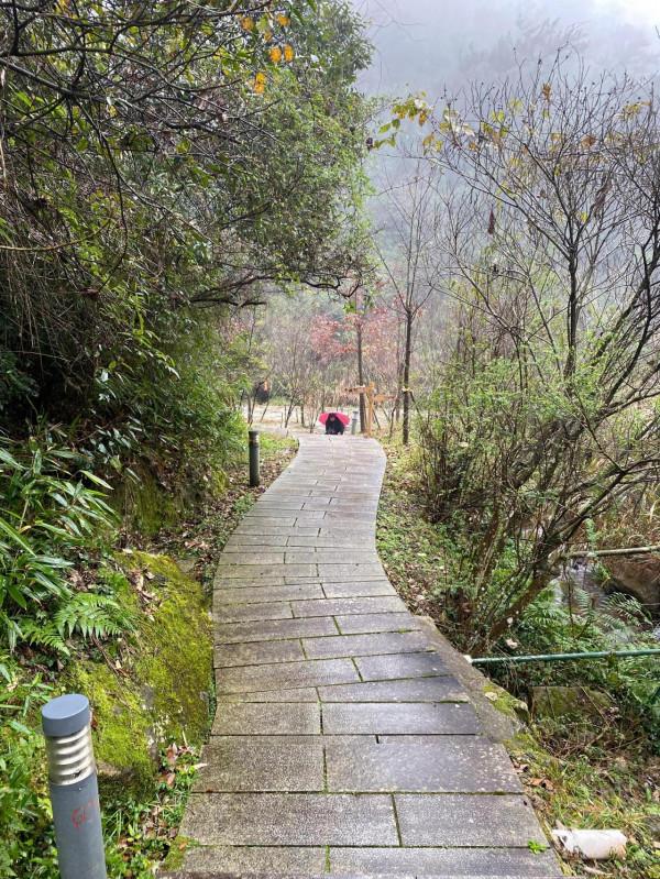 我已成仙 快樂一天