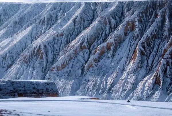 新疆剛下雪，小夥伴不淡定了：原來冬天的新疆是這樣的