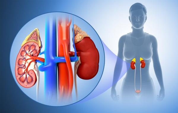 手腳冰冷？多半是氣滯血瘀！送你三味藥，溫中祛寒、回陽救逆