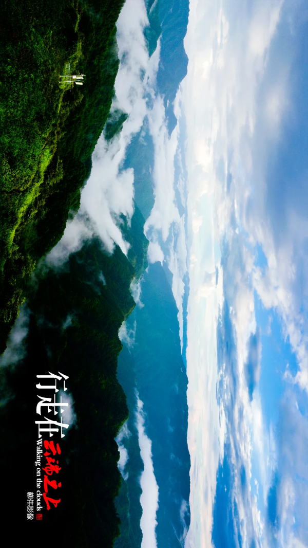 旋轉手機90° →哇！平利正陽雲端草甸這麼美嗎！