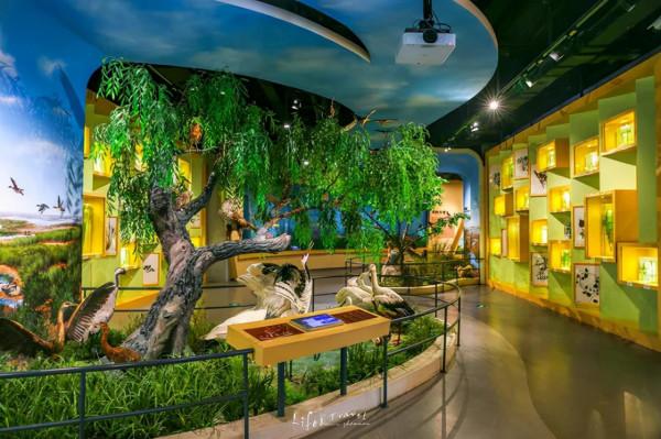 第一站,黃河入海口! 第一站,黃河入海口!