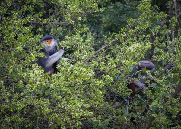 45張真實無PS照片,不看不知,用事實證明,動物們真的很可愛 45張真實無PS照片,不看不知,用事實證明,動物們真的很可愛