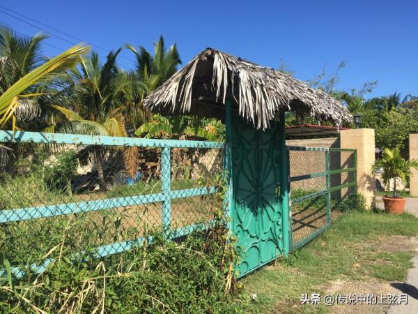 憶舊遊之古巴（三）