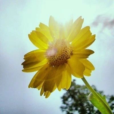 人到中年,要學會收起自己的“熱心腸” 人到中年,要學會收起自己的“熱心腸”