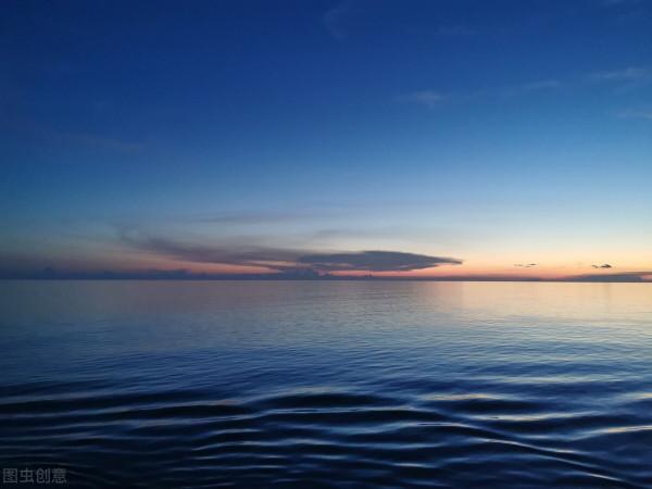 連續飛行兩個月不落地，每天飛行650公里，軍艦鳥不需要睡覺嗎