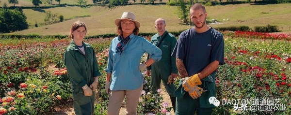 花友的假期影單推薦:這幾部園藝主題電影希望能治癒你的心 花友的假期影單推薦:這幾部園藝主題電影希望能治癒你的心