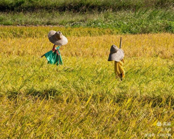 「視覺廣東」稻草人