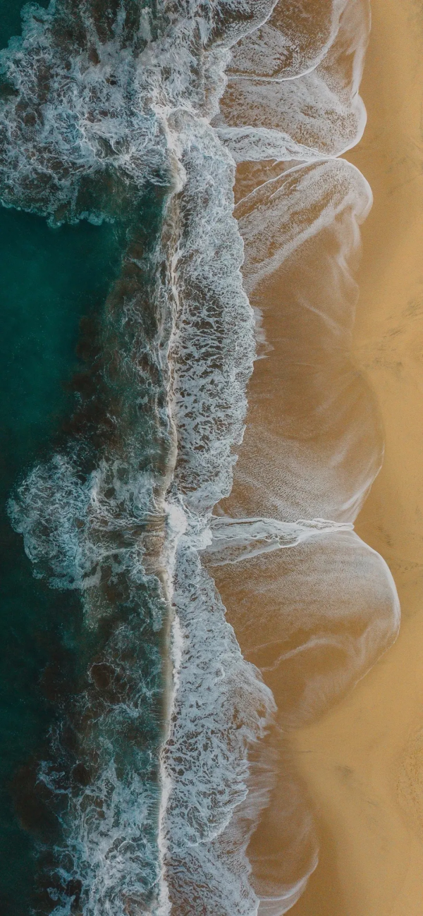 桌布：今天的桌布很好看