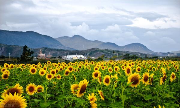 《人間物語》：人生的不快樂+真正囚禁你的，正是你自己