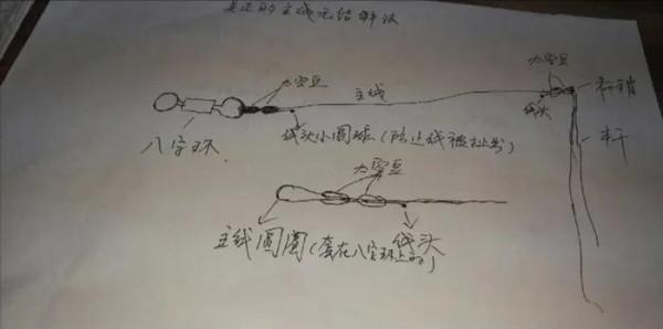 鮮為人知的釣魚冷知識，有點意思