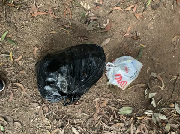 正確掌握野釣鯽魚的技巧，助你爆護