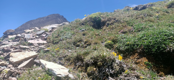 牧人的真是生活