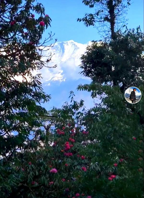 冒險王——王相軍