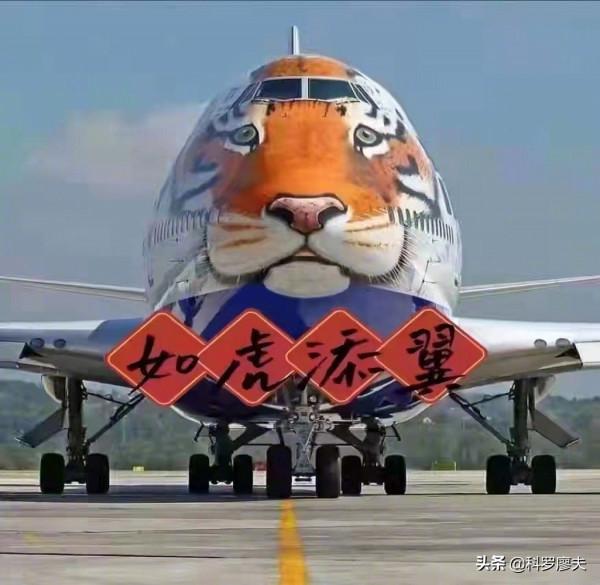 中國迎新春，日本來拜年，刷戰鬥機，做豬隊友！半島還放個鑽天猴