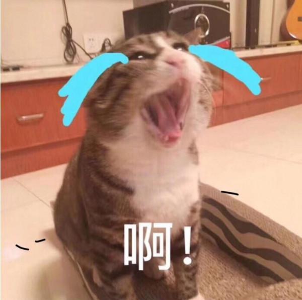 這六種學生到了高中一定學習不好，不信可以看看自己的娃