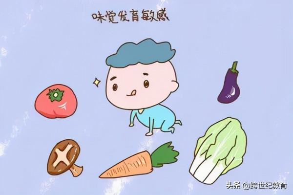 抓住孩子味覺敏感期，培養正確飲食習慣，使其不挑食不偏食