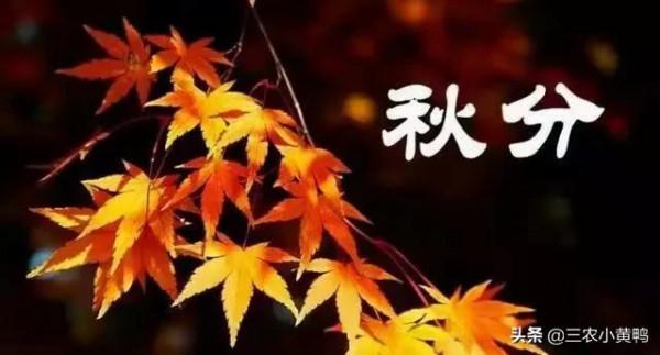 天氣預報:今日秋分,下雨天氣有什麼說法?看看老祖宗怎麼說? 天氣預報:今日秋分,下雨天氣有什麼說法?看看老祖宗怎麼說?