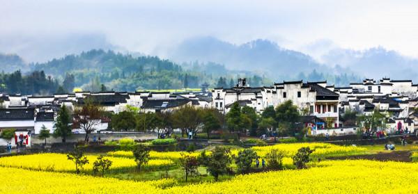 美麗景色，金山銀山不如綠水青山，人間美景，美不勝收