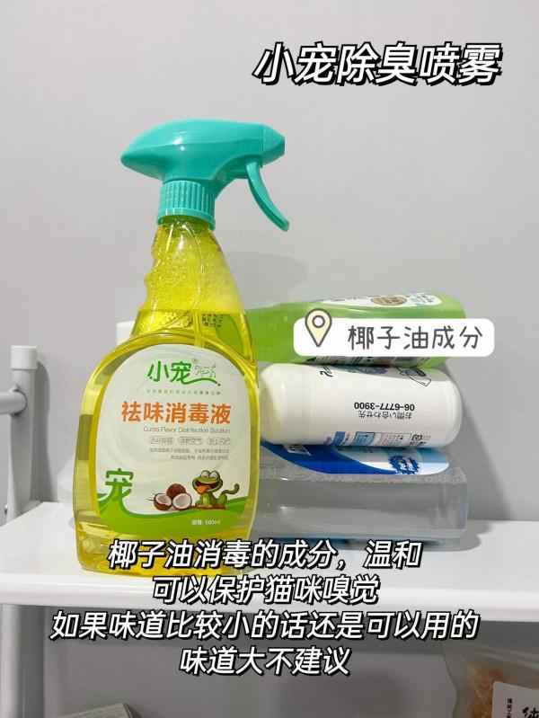 一步教你如何養貓無異味！別說不會