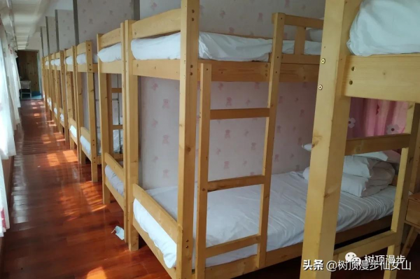 樹頂漫步黃龍住宿360°觀