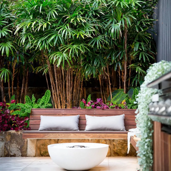 花園植物小百科 | 你的花園到底適合種什麼植物？對症下藥是關鍵