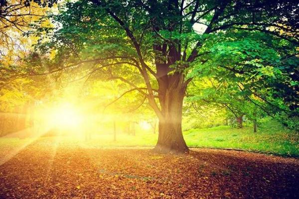 讀懂十條人生之最,輕鬆暢享智慧人生 讀懂十條人生之最,輕鬆暢享智慧人生