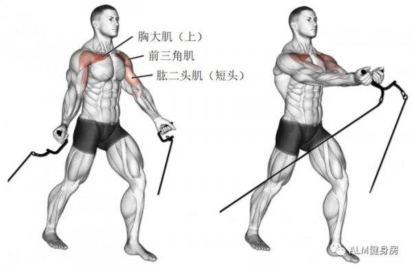 透過發力角度判斷髮力肌肉部位 透過發力角度判斷髮力肌肉部位