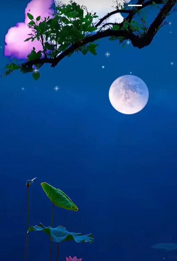 詩河瀏覽——杜牧情詩賞析（2）