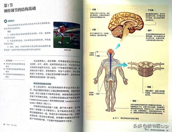 高中生物:人教社2019年版新教材的變化③ 高中生物:人教社2019年版新教材的變化③