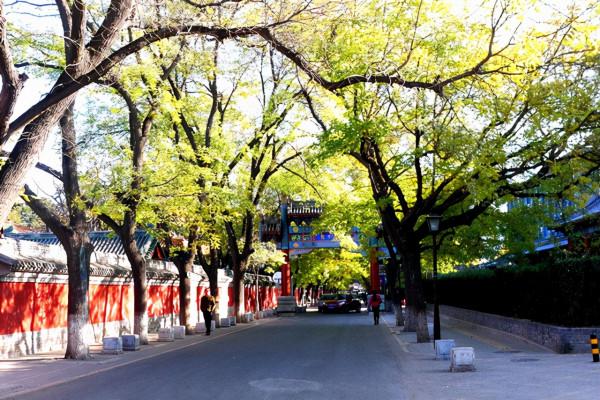 國子監街：北京現存的唯一擁有四座牌樓的古街