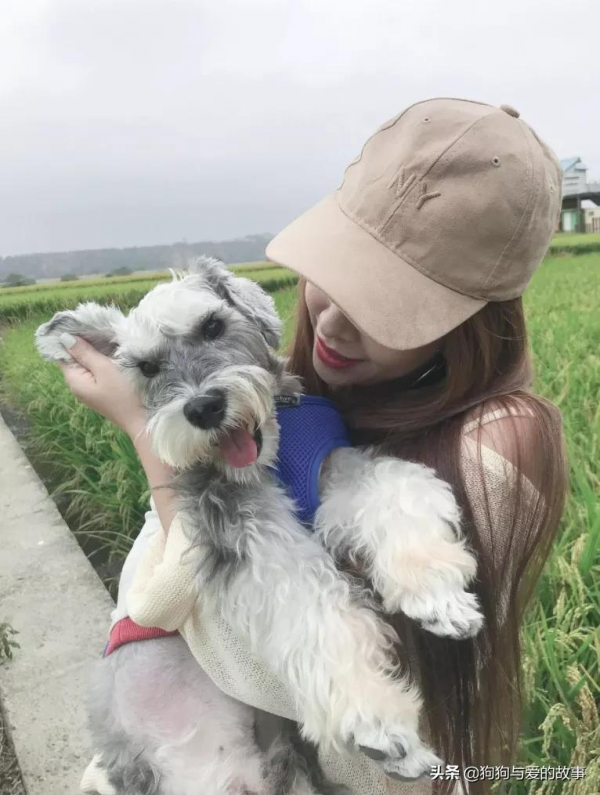 陪伴自己18年,主人將狗放在它最常躺的地方:它永遠會在我身邊 陪伴自己18年,主人將狗放在它最常躺的地方:它永遠會在我身邊