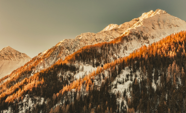 對於生活，不喜歡回頭，也不願將就的星座，為了夢想而活出真我