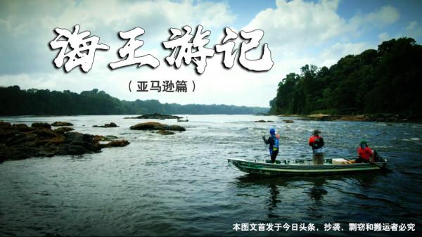 我知道食人魚沒那麼可怕，但不知道它們居然能慫到這個地步