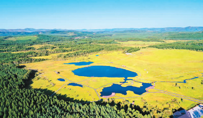 秋染塞罕壩 秋染塞罕壩