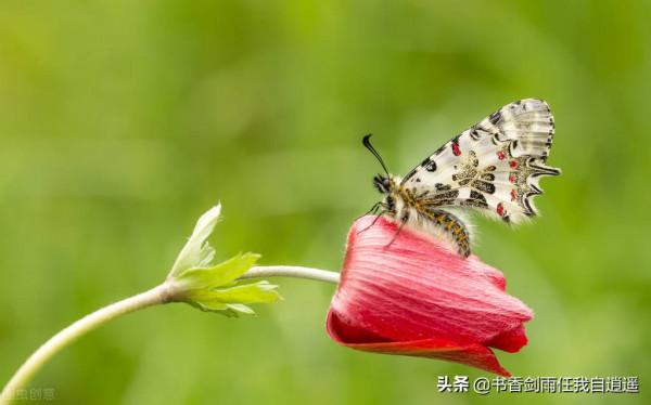 孩子,無論多難,請告訴自己,再堅持一下 孩子,無論多難,請告訴自己,再堅持一下