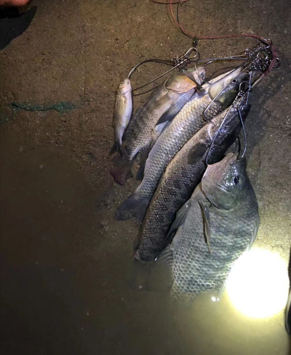 野外路亞夜釣幾個注意要點 野外路亞夜釣幾個注意要點