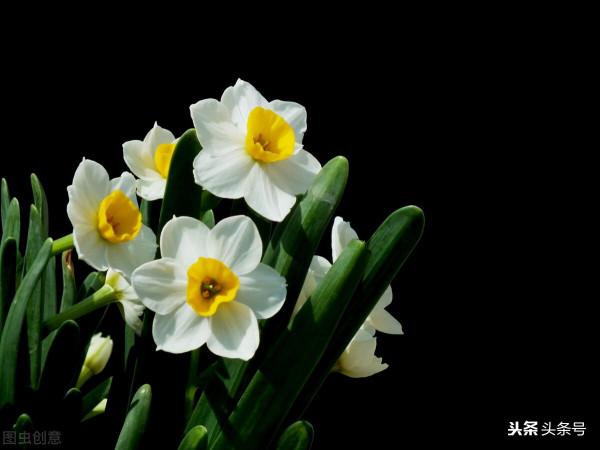 女人要富養自己 寵愛自己 女人要富養自己 寵愛自己