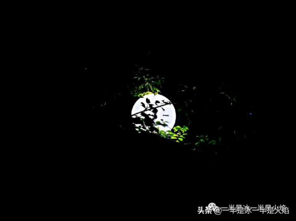 中秋：陰晴圓缺都休說，且喜人間好時節