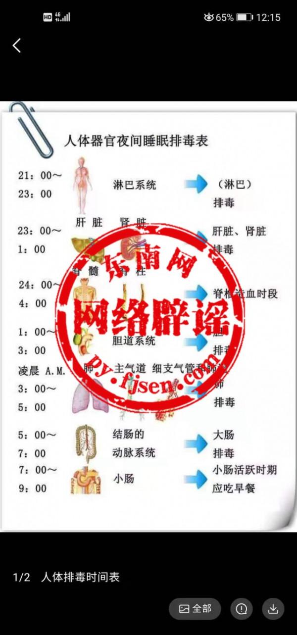 網傳“人體器官夜間睡眠排毒表”能信嗎? 網傳“人體器官夜間睡眠排毒表”能信嗎?