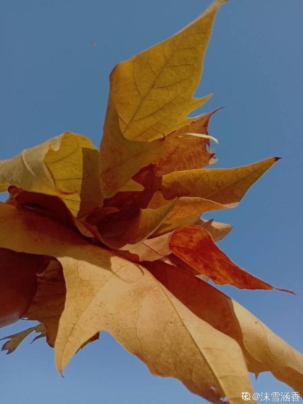 秋天又乏又燥，做好5件事，有效緩解“乏”和“燥”