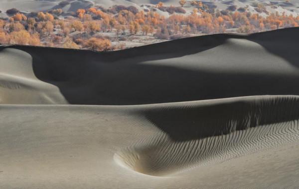 萬人說新疆丨新疆：沙漠美景似油畫