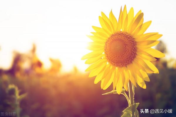 人到中年，解脫自己的心